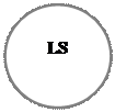 Oval: LS